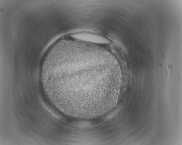 X0000082690156200702232213