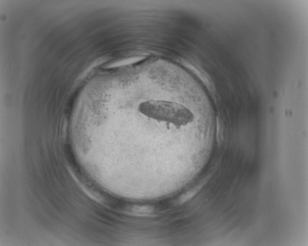 X0000082690157200702232213