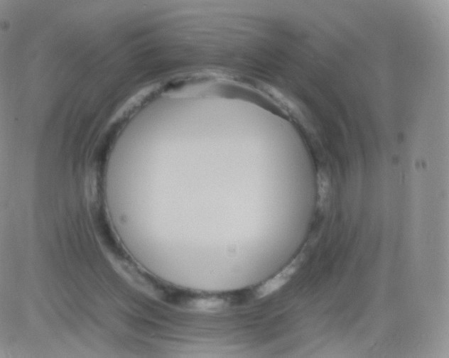 X0000082690158200702232213