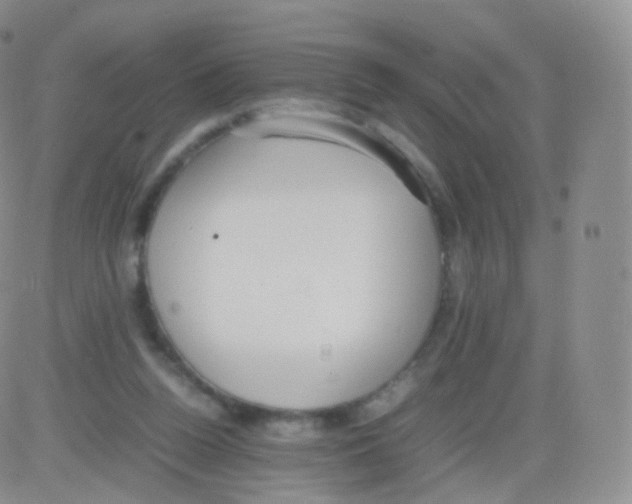 X0000082690160200702232213