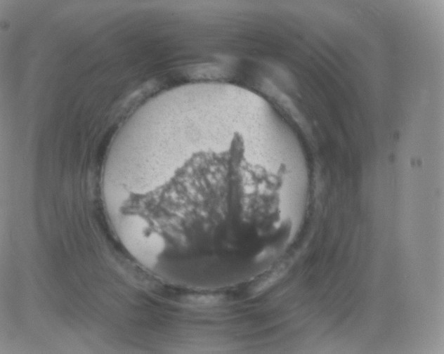 X0000082690161200702232213