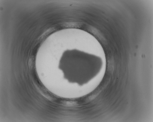 X0000082690165200702232214