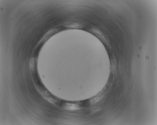 X0000082690167200702232214