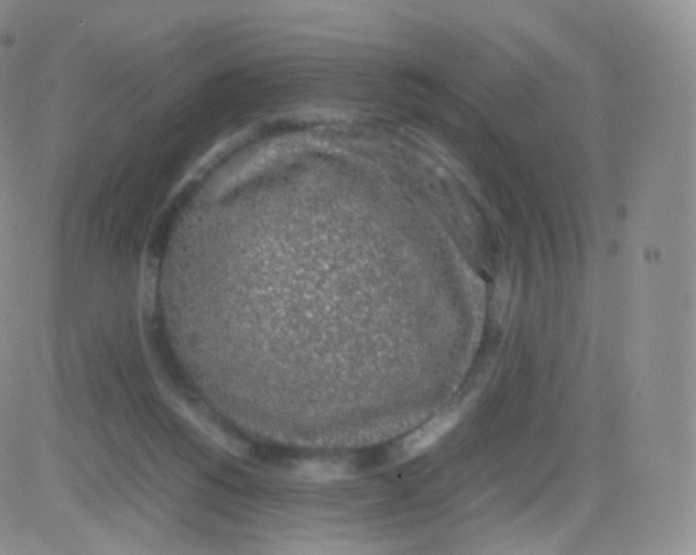 X0000082690168200702232214