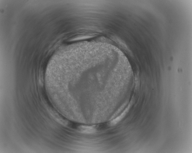 X0000082690170200702232214