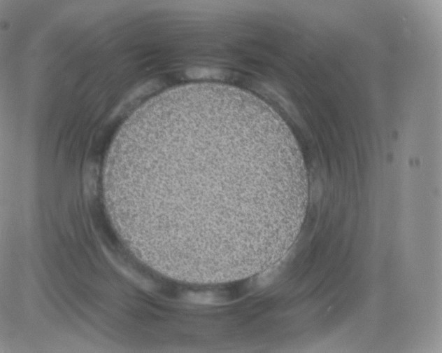 X0000082690171200702232214