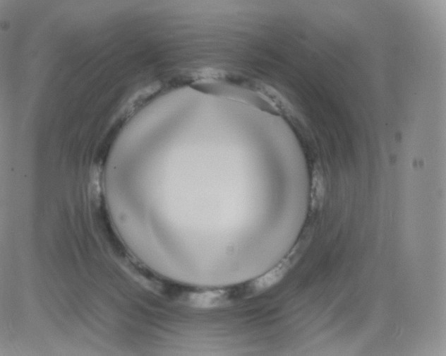 X0000082690172200702232214