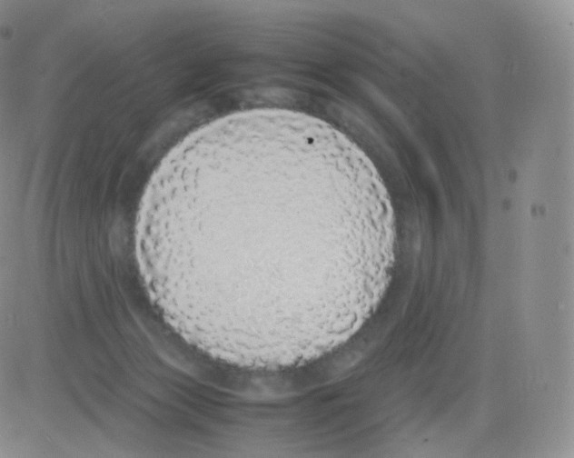 X0000082690173200702232214