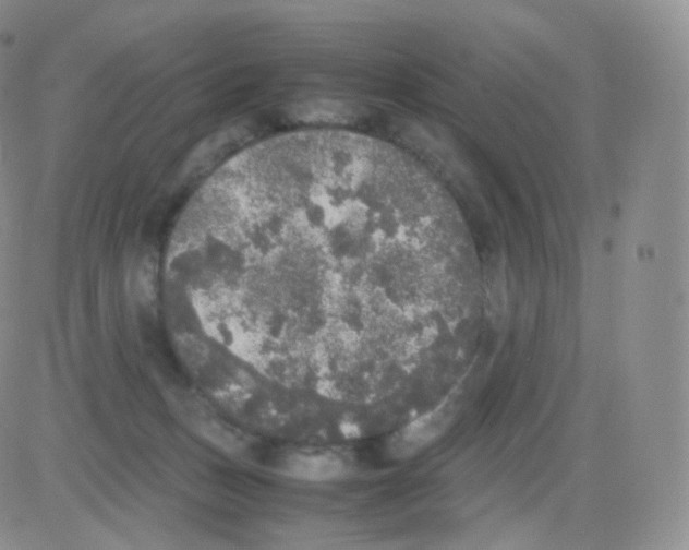 X0000082690175200702232214