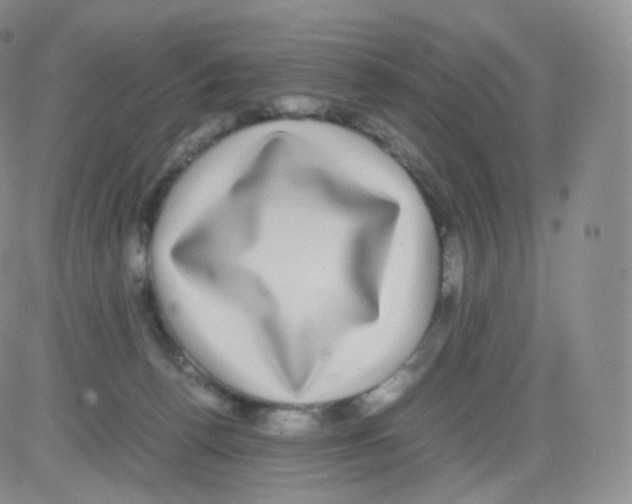 X0000082690176200702232214