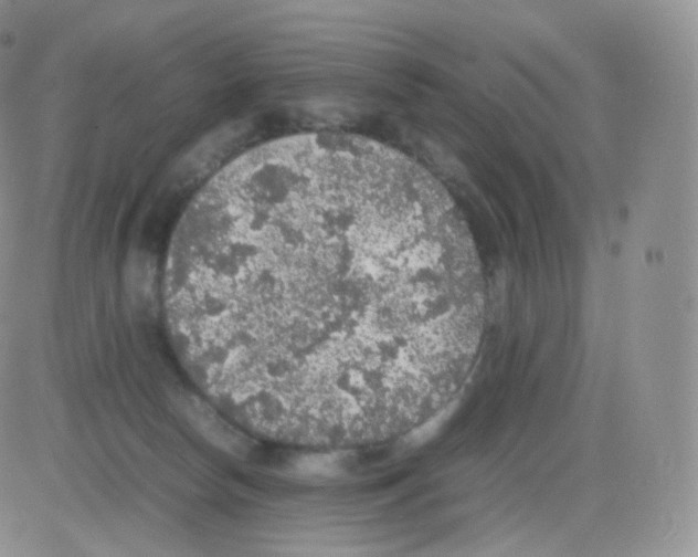 X0000082690178200702232214