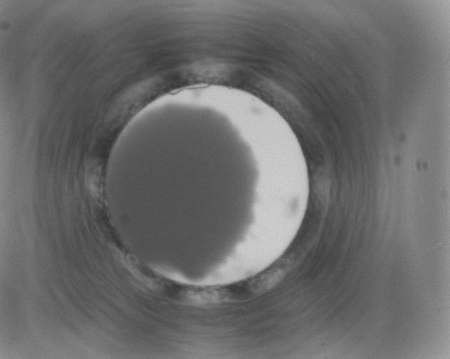 X0000082690181200702232214