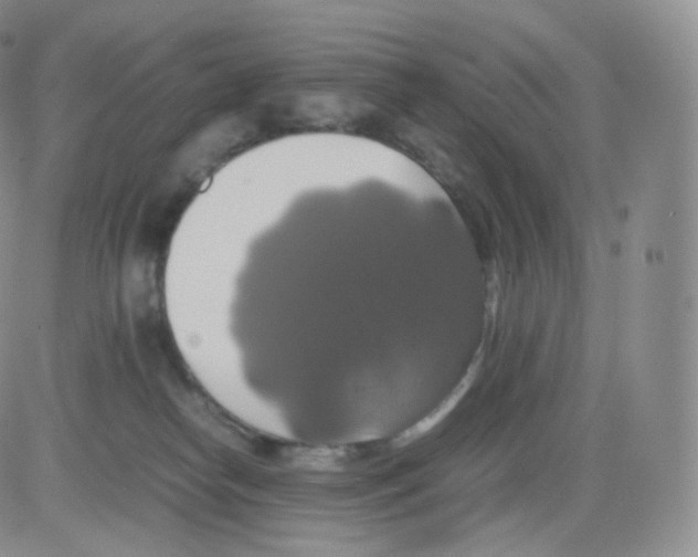 X0000082690182200702232214