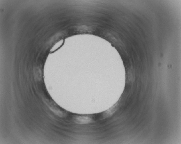 X0000082690183200702232214