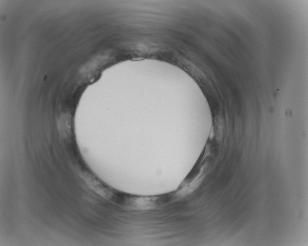 X0000082690184200702232214