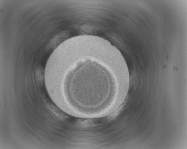 X0000082690186200702232214