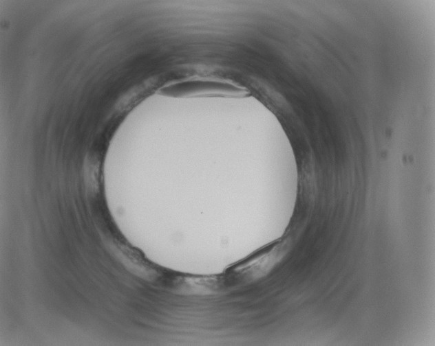 X0000082690188200702232214