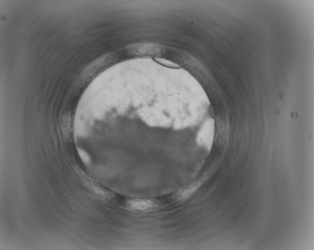 X0000082690189200702232214