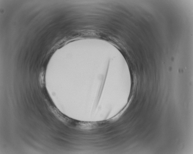 X0000082690190200702232214