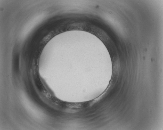 X0000082690191200702232214