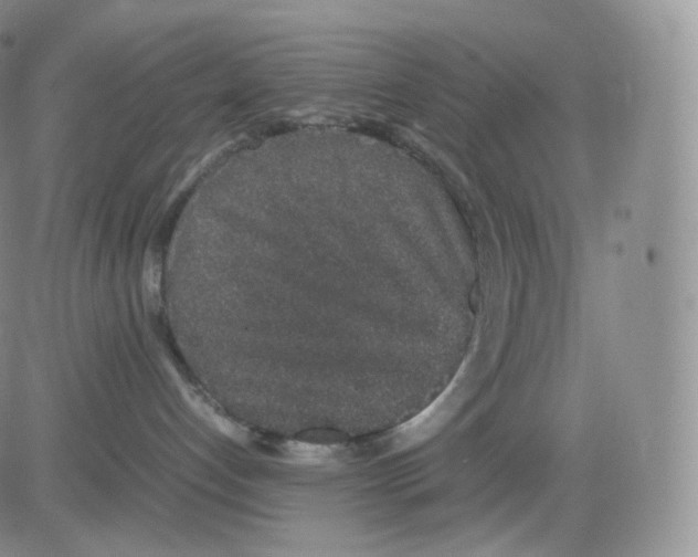 X0000082690192200702232214