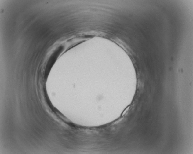 X0000082690193200702232213