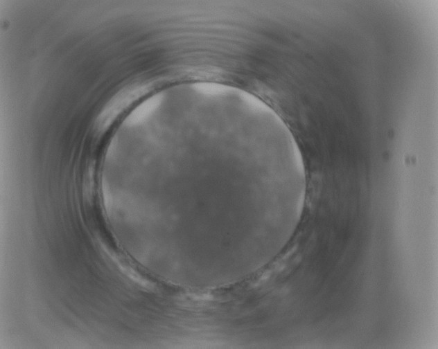 X0000082690194200702232213