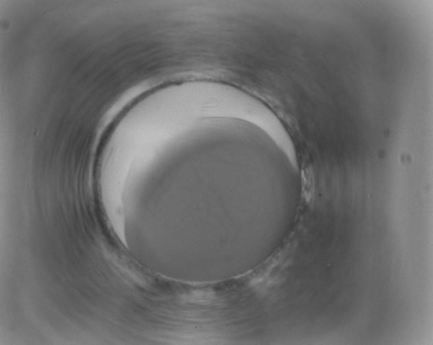 X0000082690196200702232213