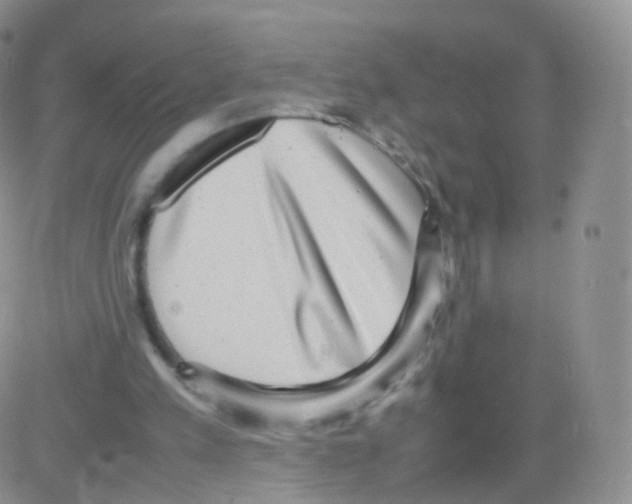 X0000082690197200702232213