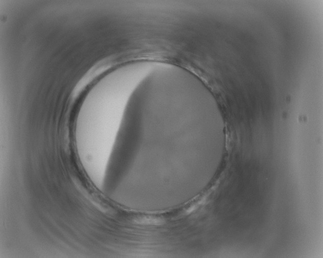 X0000082690198200702232213