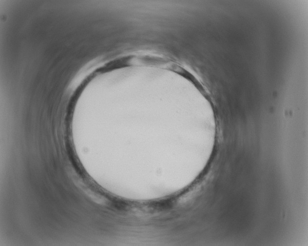 X0000082690199200702232213