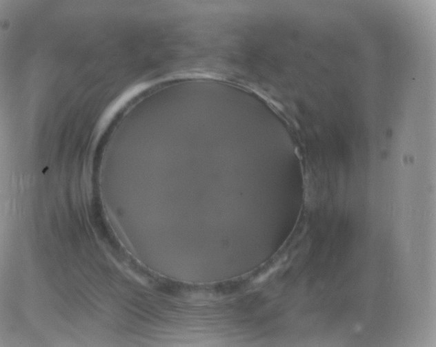 X0000082690200200702232213