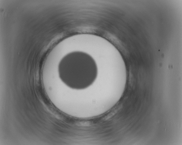 X0000082690202200702232213