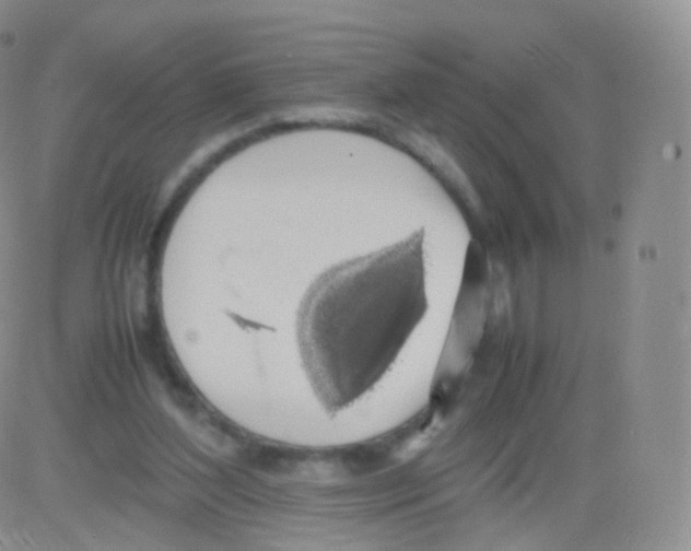 X0000082690204200702232213