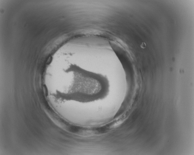 X0000082690205200702232213