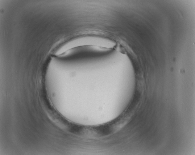 X0000082690207200702232213