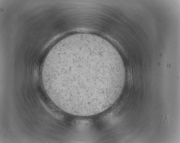 X0000082690208200702232213