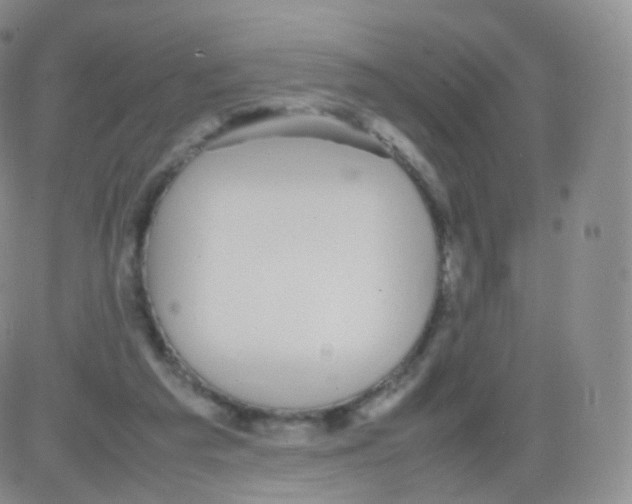 X0000082690209200702232213