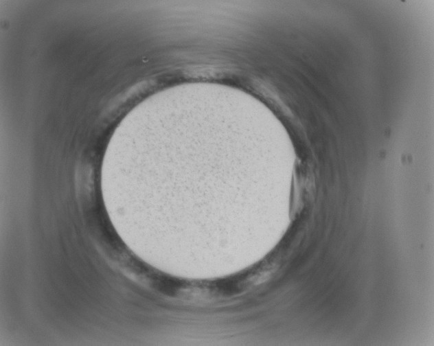 X0000082690211200702232213