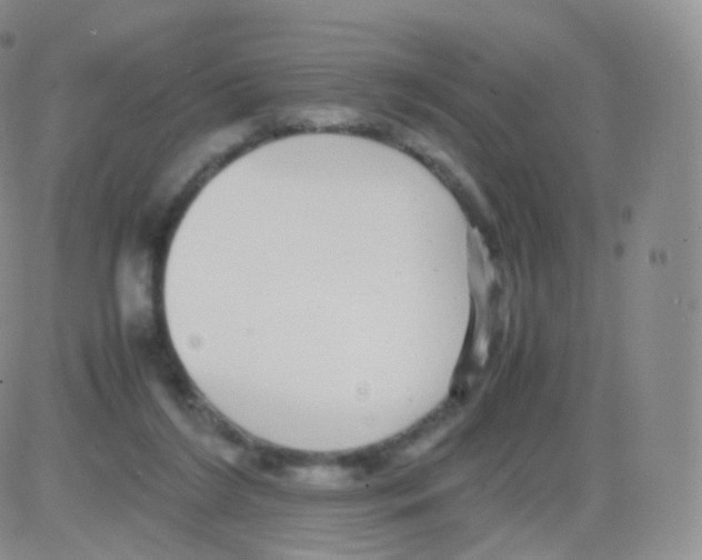 X0000082690212200702232213