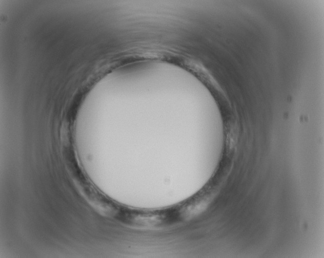 X0000082690213200702232213