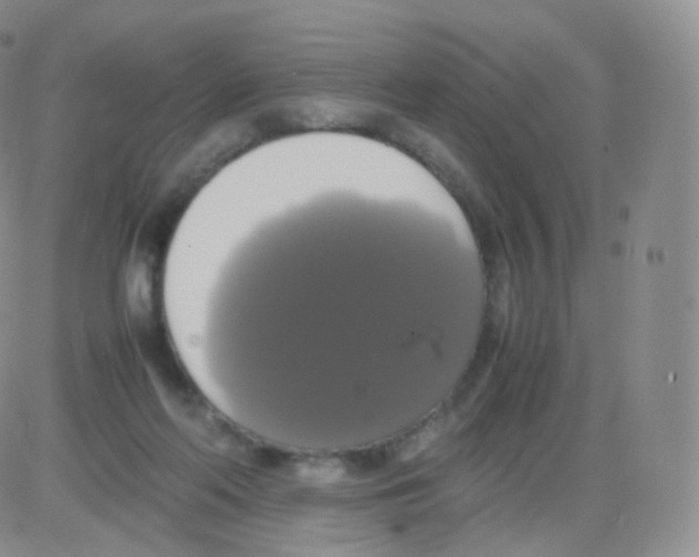 X0000082690214200702232213