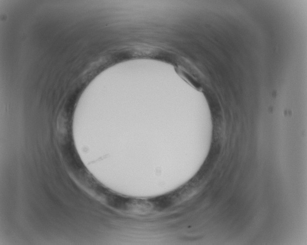 X0000082690215200702232213