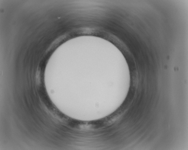 X0000082690216200702232213