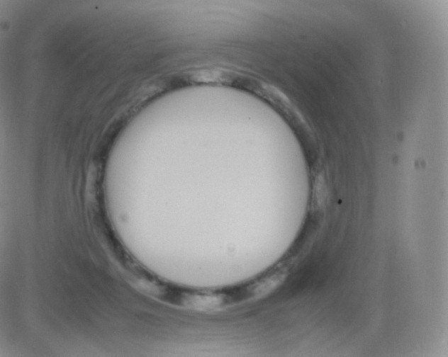 X0000082690217200702232213