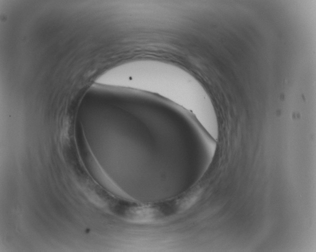 X0000082690219200702232213