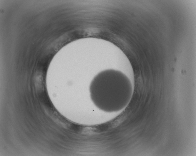 X0000082690222200702232213