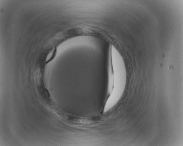 X0000082690223200702232213