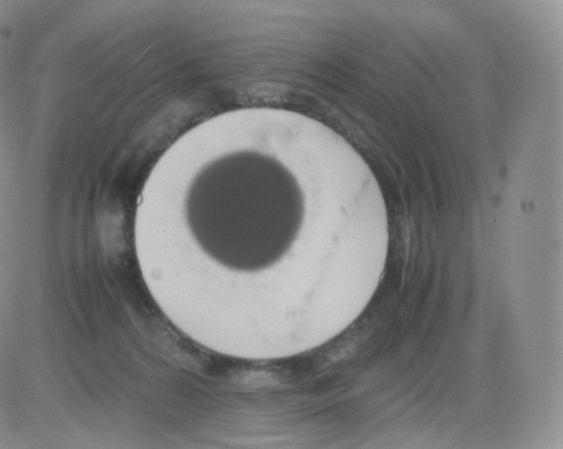 X0000082690224200702232213