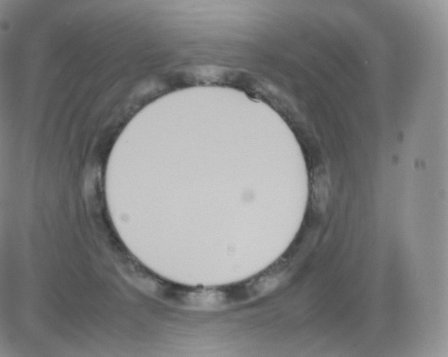 X0000082690225200702232213